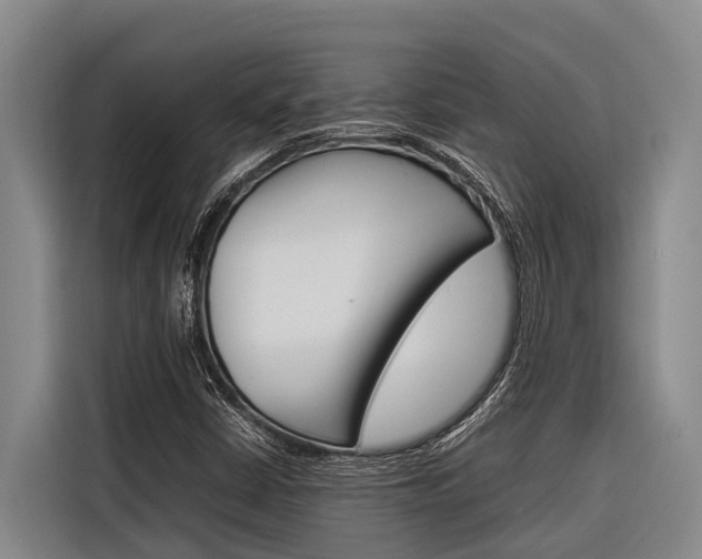 X0000116881402200912220935