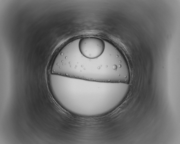 X0000116881404200912220935