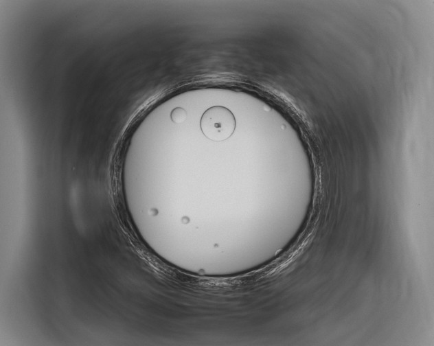 X0000116881405200912220935
