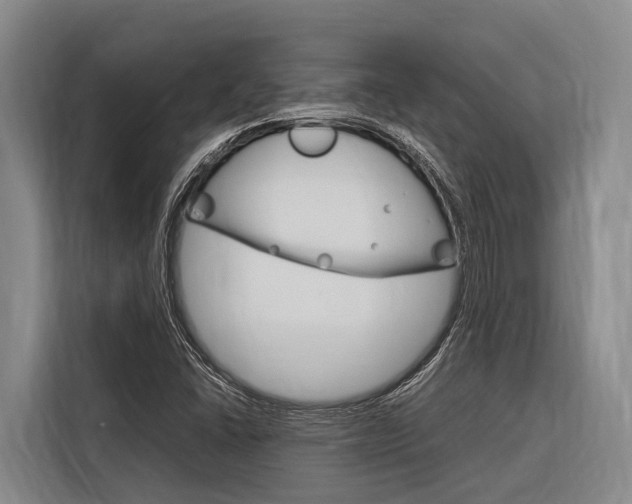 X0000116881406200912220935