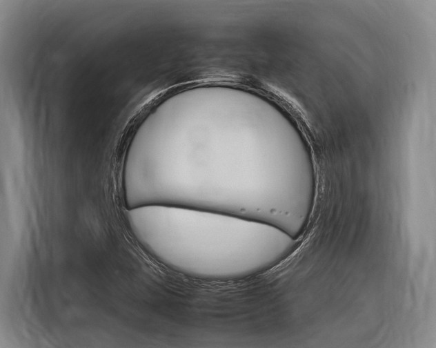 X0000116881407200912220935
