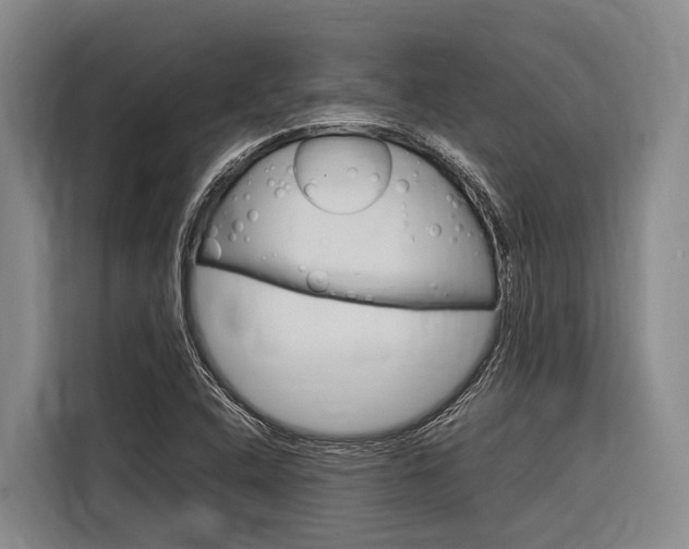 X0000116881408200912220935