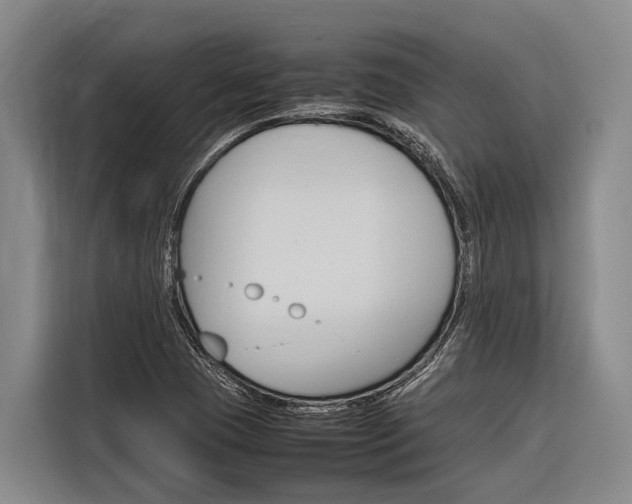X0000116881409200912220935