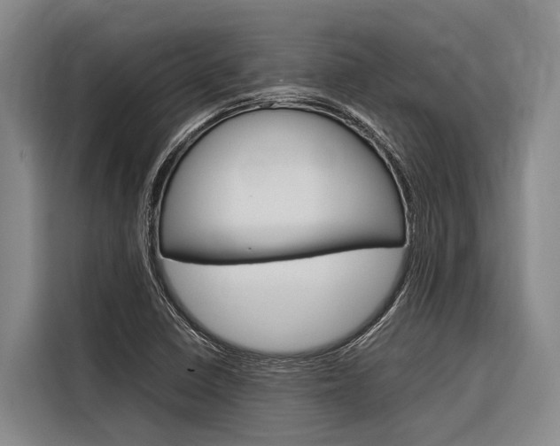 X0000116881410200912220935