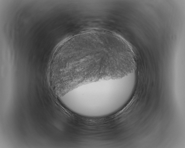 X0000116881411200912220935