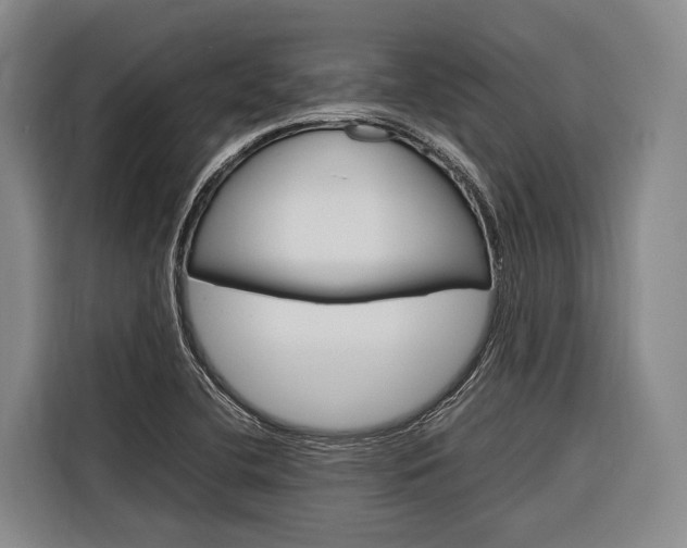 X0000116881412200912220935