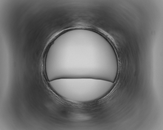 X0000116881415200912220935
