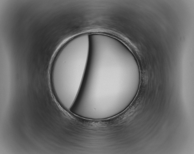 X0000116881416200912220935