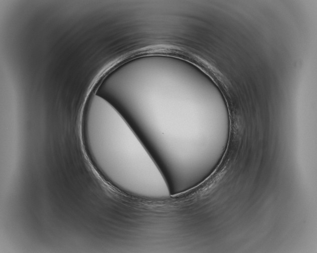 X0000116881418200912220935