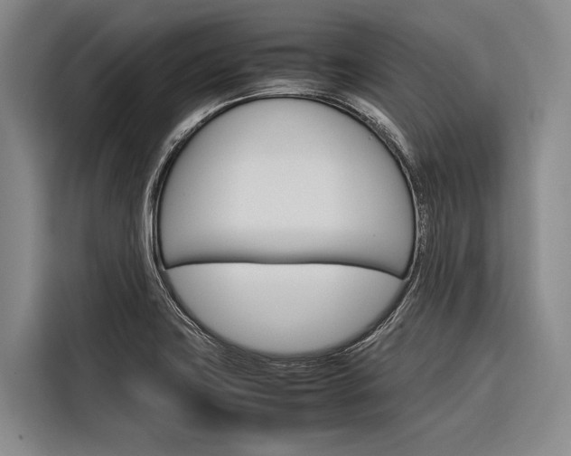 X0000116881419200912220935