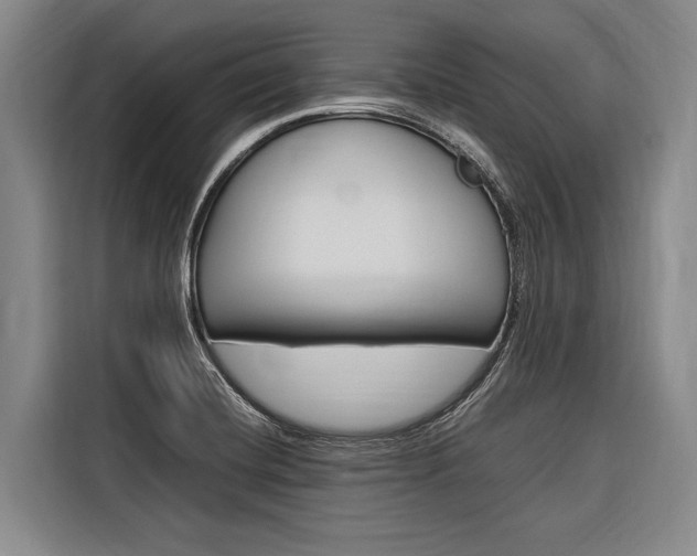 X0000116881420200912220935