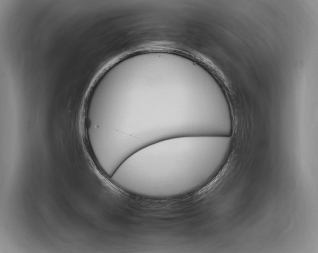 X0000116881421200912220935