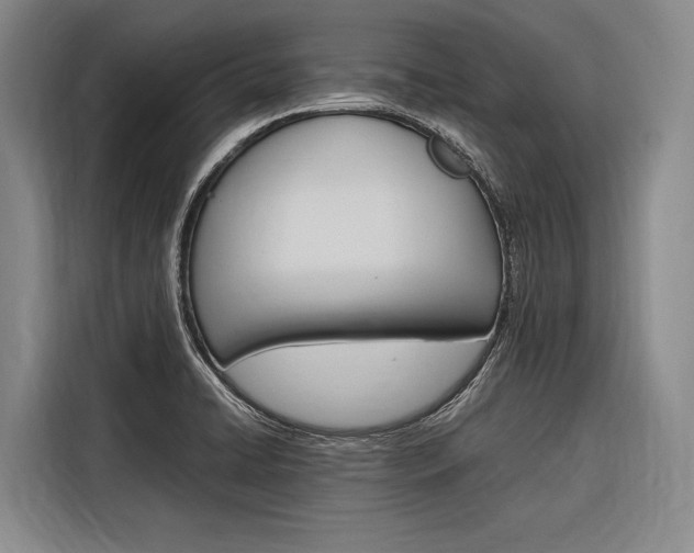 X0000116881422200912220935