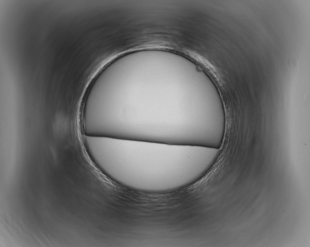 X0000116881423200912220935