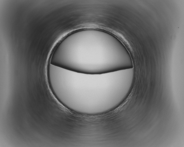 X0000116881424200912220935
