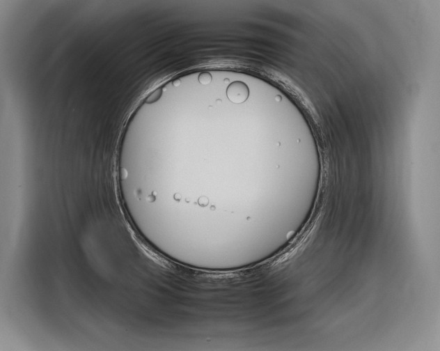 X0000116881425200912220935