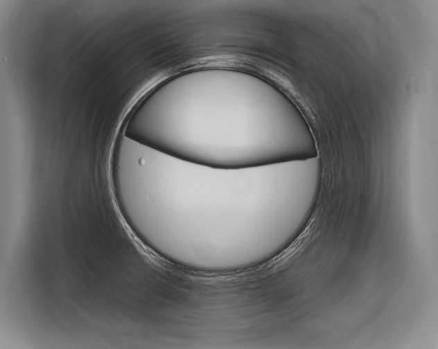 X0000116881426200912220935