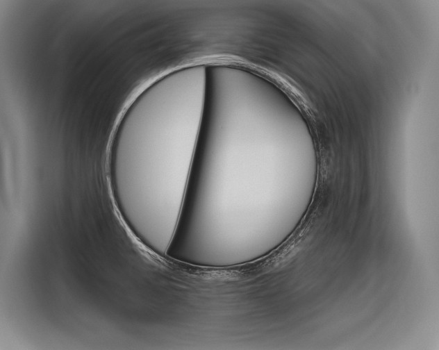 X0000116881430200912220935
