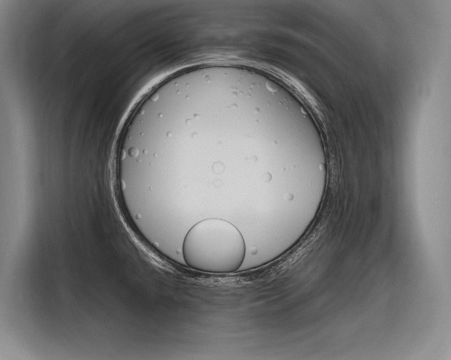 X0000116881432200912220935