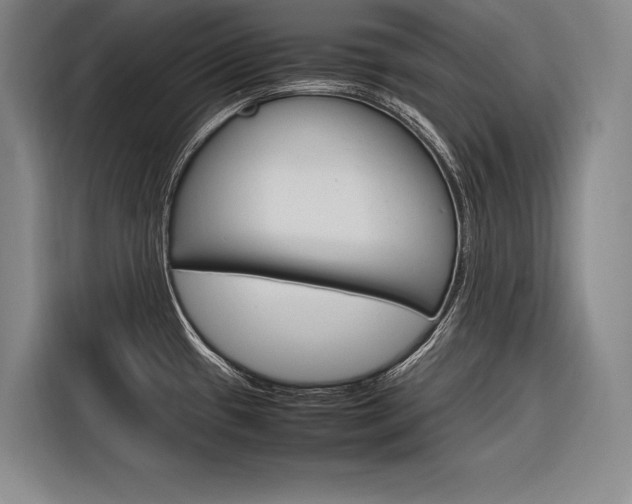 X0000116881433200912220935