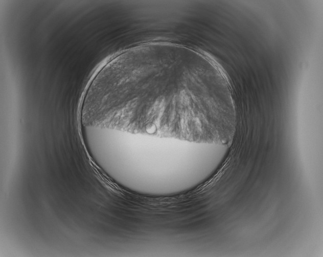 X0000116881435200912220936