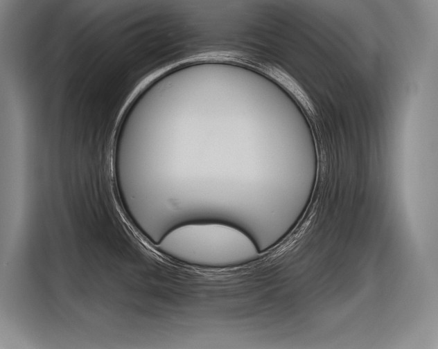 X0000116881436200912220936
