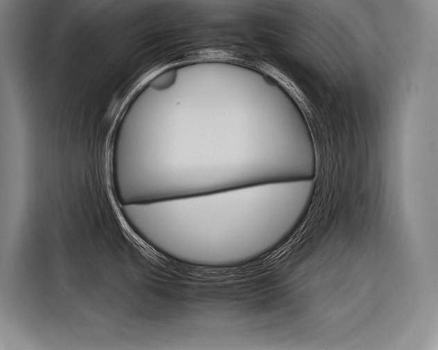 X0000116881439200912220936