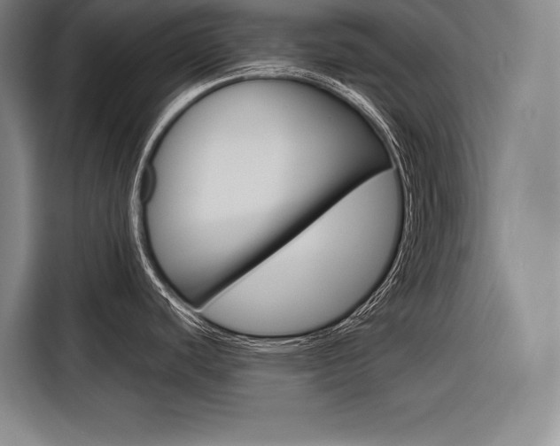 X0000116881440200912220936