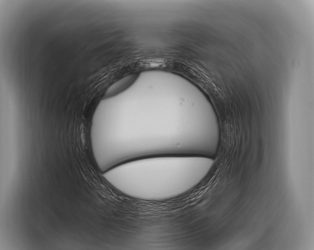 X0000116881442200912220935