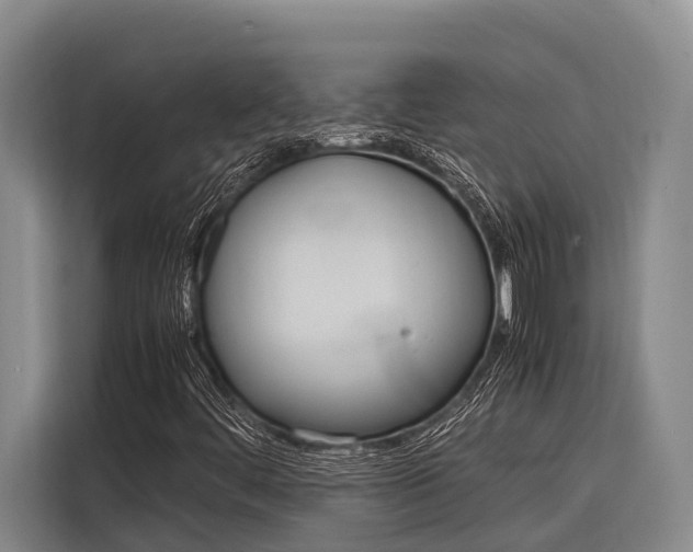 X0000116881444200912220935