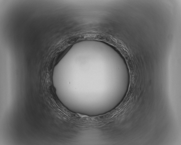 X0000116881445200912220935