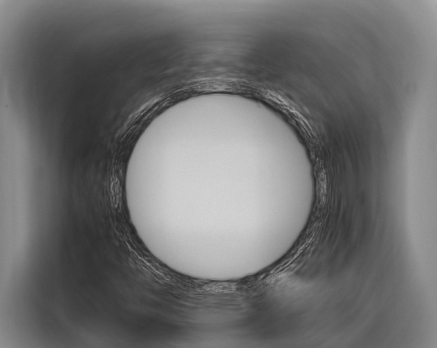 X0000116881446200912220935