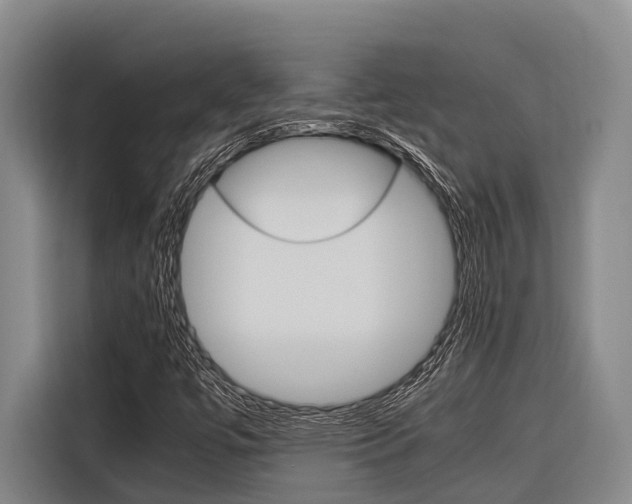 X0000116881447200912220935