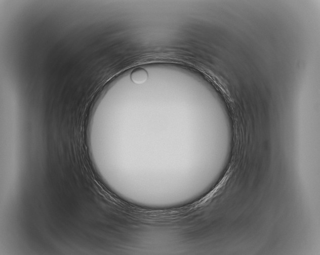 X0000116881449200912220935