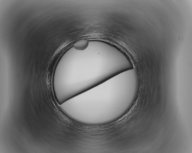 X0000116881450200912220935
