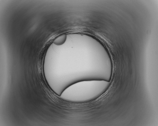 X0000116881451200912220935
