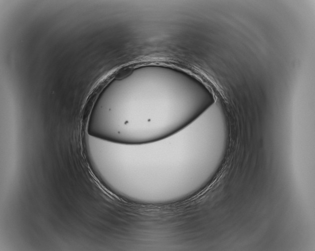 X0000116881452200912220935