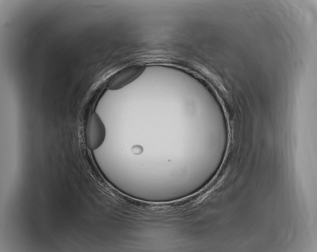 X0000116881453200912220935