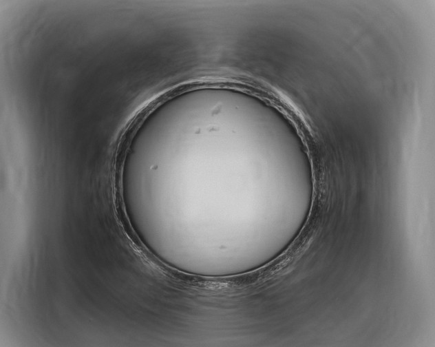 X0000116881456200912220935