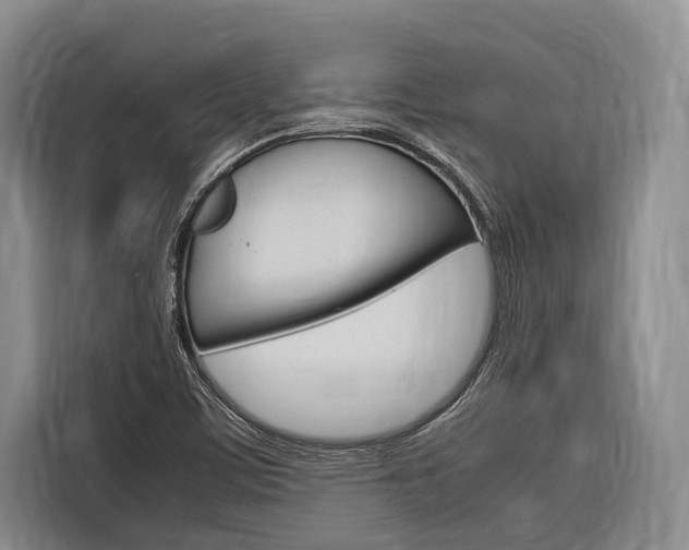 X0000116881459200912220935