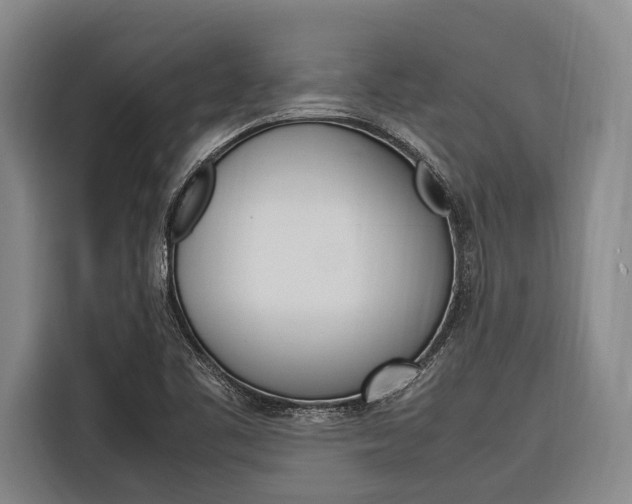 X0000116881461200912220935