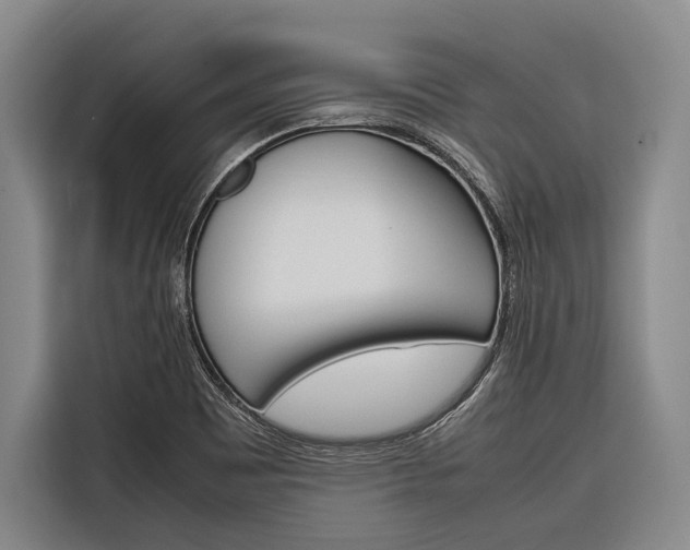 X0000116881465200912220935
