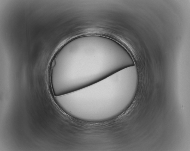 X0000116881467200912220935