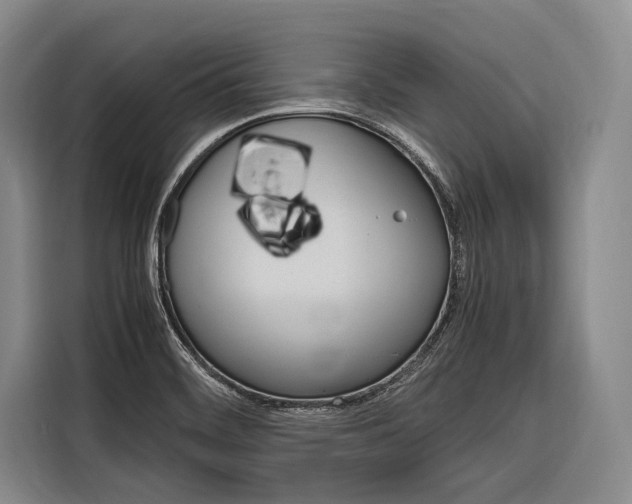 X0000116881468200912220935