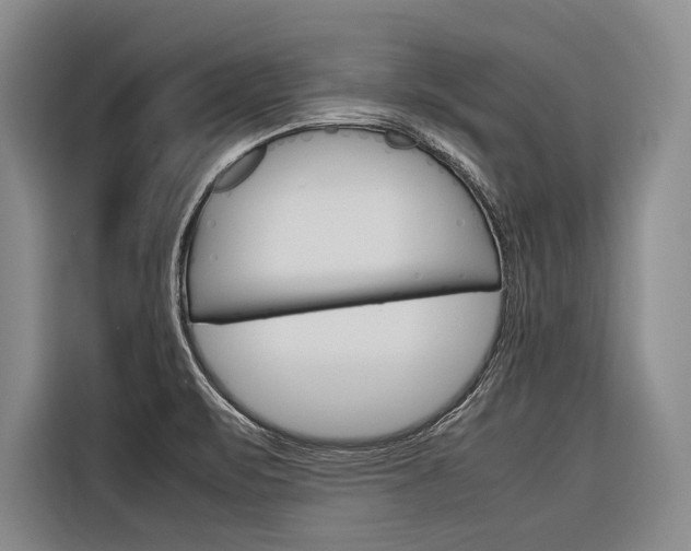 X0000116881471200912220935