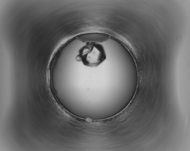 X0000116881472200912220935