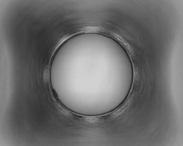 X0000116881473200912220935