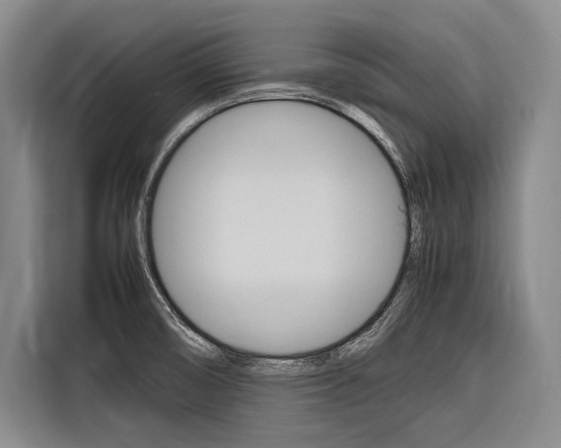 X0000116881474200912220935