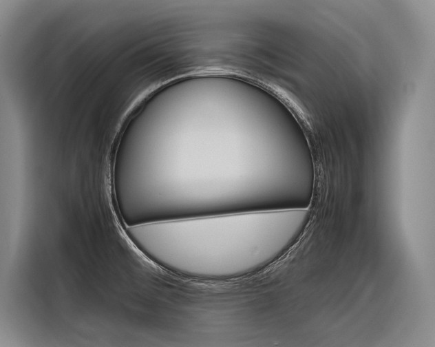 X0000116881476200912220935