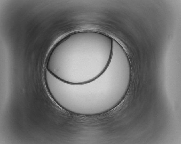 X0000116881477200912220935
